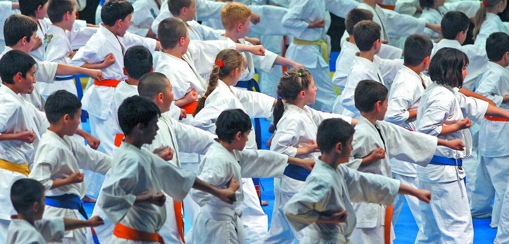 Campionatul European de Karate Kyokushin Kumite – ed. 24
